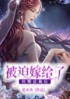 被迫嫁给了厌婚总裁后 作 者季女如鱼