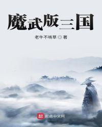 魔武版三国123