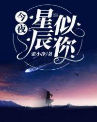 今夜星辰似你顾南桥