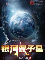 银河双子星电脑版登录不了