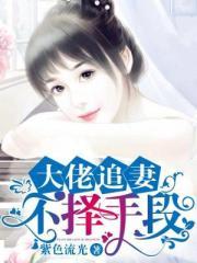 大佬追妻不择手段唐婉