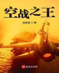 空战之王2破解版