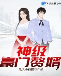 豪门赘婿之神婿 龙城寒少