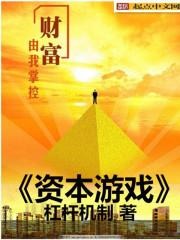 资本的游戏 第二版 pdf