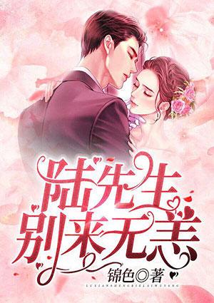 闪婚契约陆先生别来无恙