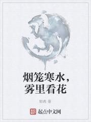 “烟笼寒水月笼沙”