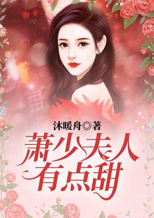 陆少夫人又酷又甜7