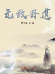 无敌丹道全本