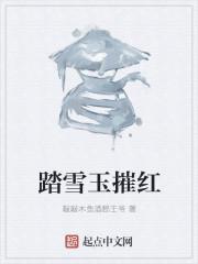 踏雪是什么玉