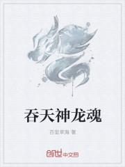 吞天神龙魂凌昊