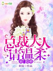 豪门隐婚总裁大人请温柔漫画