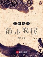 大时代中的小农民214章