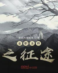 全职法师征途