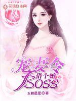 宠妻令boss借个婚全文免费阅读令