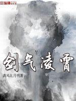 剑气凌霄汉