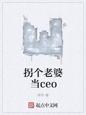 拐个老婆当CEO