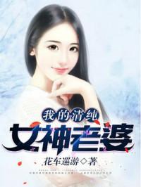 我的清纯女神老婆笔趣阁