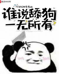 舔狗到最后一无所有