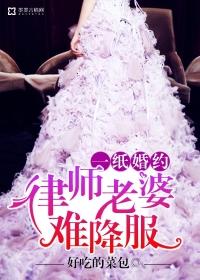 一纸婚约律师老婆难降服 好吃的菜包