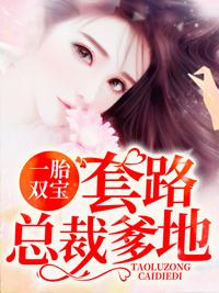 一胎双宝 总裁娶妻套路深