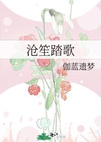 沧笙踏歌公司