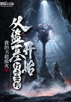 从盗墓开始打卡签到无广告