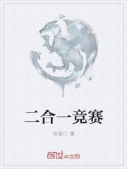 二合一方案指什么