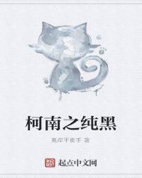 柯南之纯黑的噩梦中文版