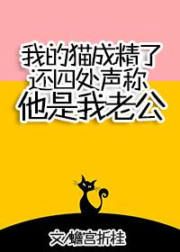 我家猫咪成精啦