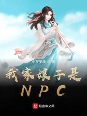 我家娘子是npc书包网