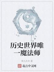 历史世界唯一魔法师百科