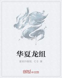 华夏龙组是什么