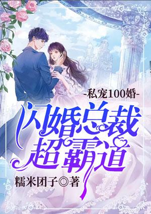 私宠100婚闪婚总裁超霸道免费