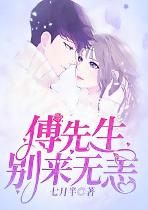 二婚总裁傅先生别来无恙