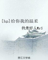 hp给你我的温柔txt