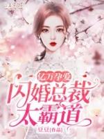 亿万闪婚总裁请深爱漫画