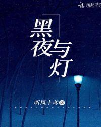 黑夜与灯火通明