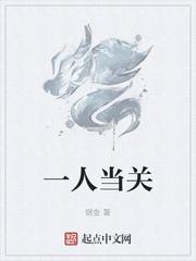 一人当关打一数字