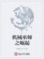 机械巫师之崛起(邵己亥)