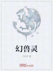 幻兽灵窍是什么