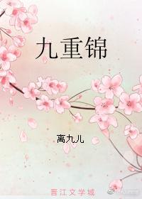 九重锦讲的什么