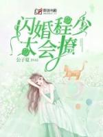 闪婚程少太会撩 公子夏