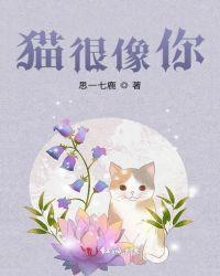 猫像主人性格