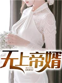 无上帝婿短剧免费观看27集