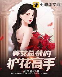 美女总裁的护花高手txt