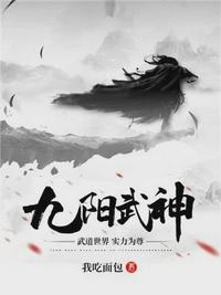 九阳武神叶云飞身世