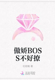 佛系Boss不好撩