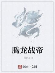 腾龙战盔阿尔法