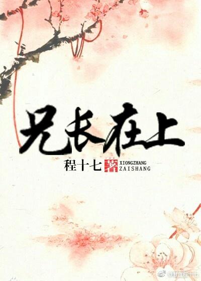 兄长在上 无错版