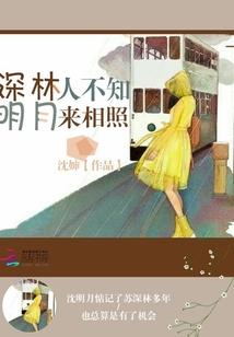 明月来相照所展现的画面